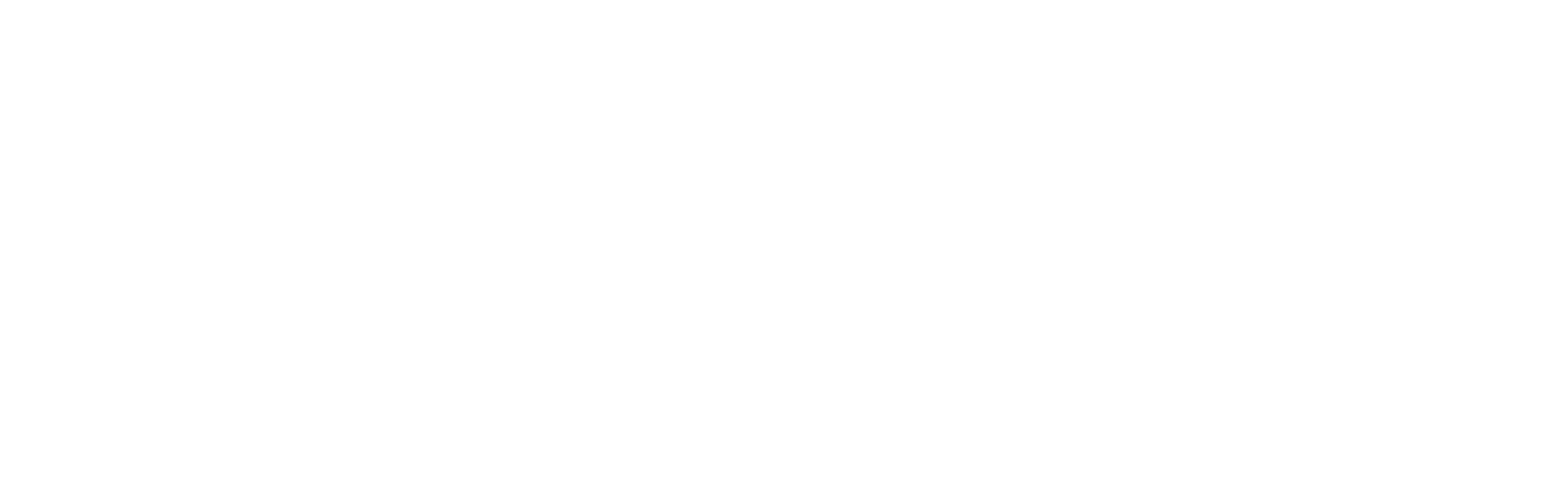 MS Ocean
